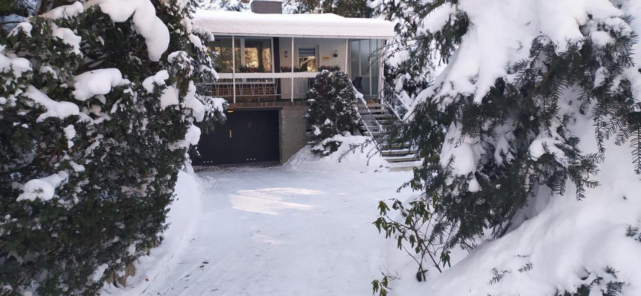 Ferienhaus Giesela **** Wernigerode Exteriör bild