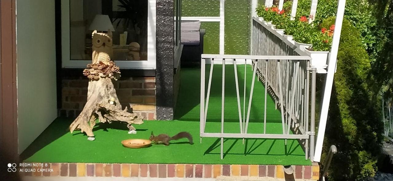 Ferienhaus Giesela **** Wernigerode Exteriör bild