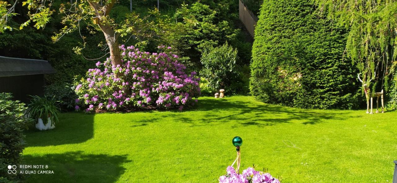 Ferienhaus Giesela **** Wernigerode Exteriör bild